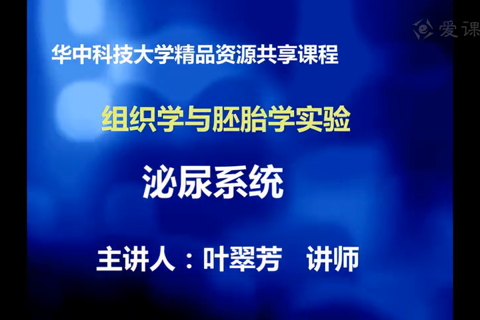  山东大学_华中科大 组织学与胚胎学（合66讲）马保华 李和