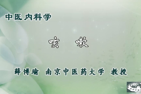 中医内科学-南京中医药大学【薛博瑜】